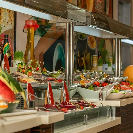 Commodore Elite & (adults Only) シダ