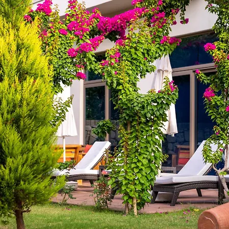 Hotel Commodore Elite & (adults Only) 5*