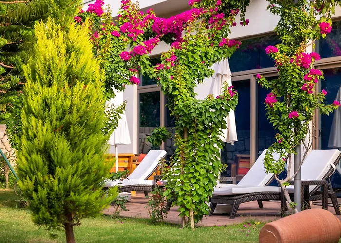 Hotel Commodore Elite & (adults Only) 5*